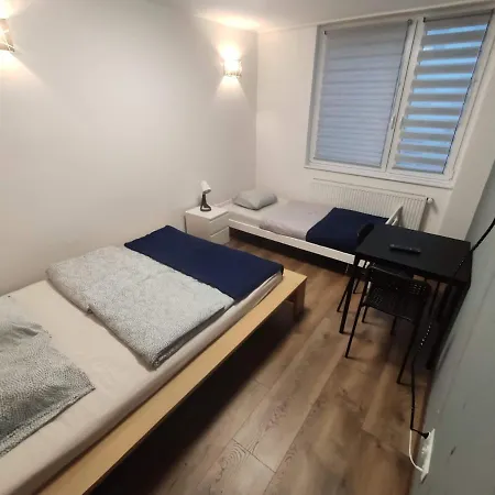 Night Point 라시보르츠