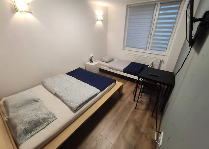 Night Point راتشيبوش